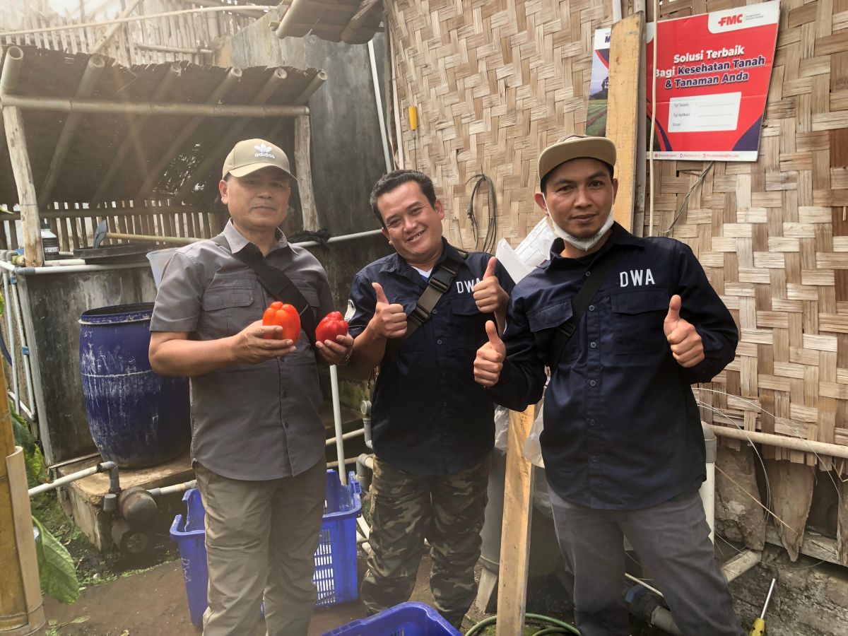 Pemdes Lembang Ikuti Hari Kedua Sosialisasi dan Bimbingan Teknis Village Resilience and Livelihoods, Kunjungi Budidaya Paprika di Desa Pasirlangu